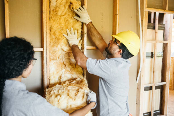 Best Residential Insulation Services  in Cheyenne, WY