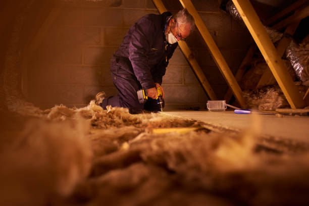 Best Attic Insulation Installation  in Cheyenne, WY